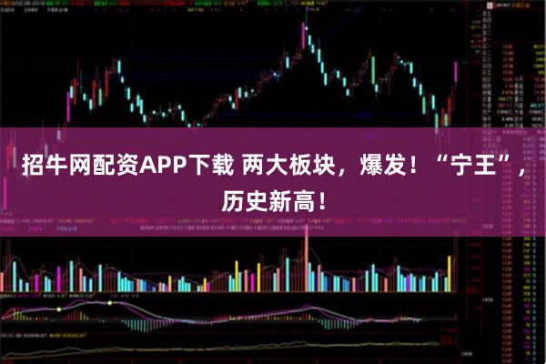 招牛网配资APP下载 两大板块，爆发！“宁王”，历史新高！