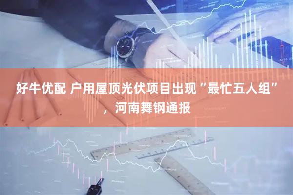 好牛优配 户用屋顶光伏项目出现“最忙五人组”，河南舞钢通报